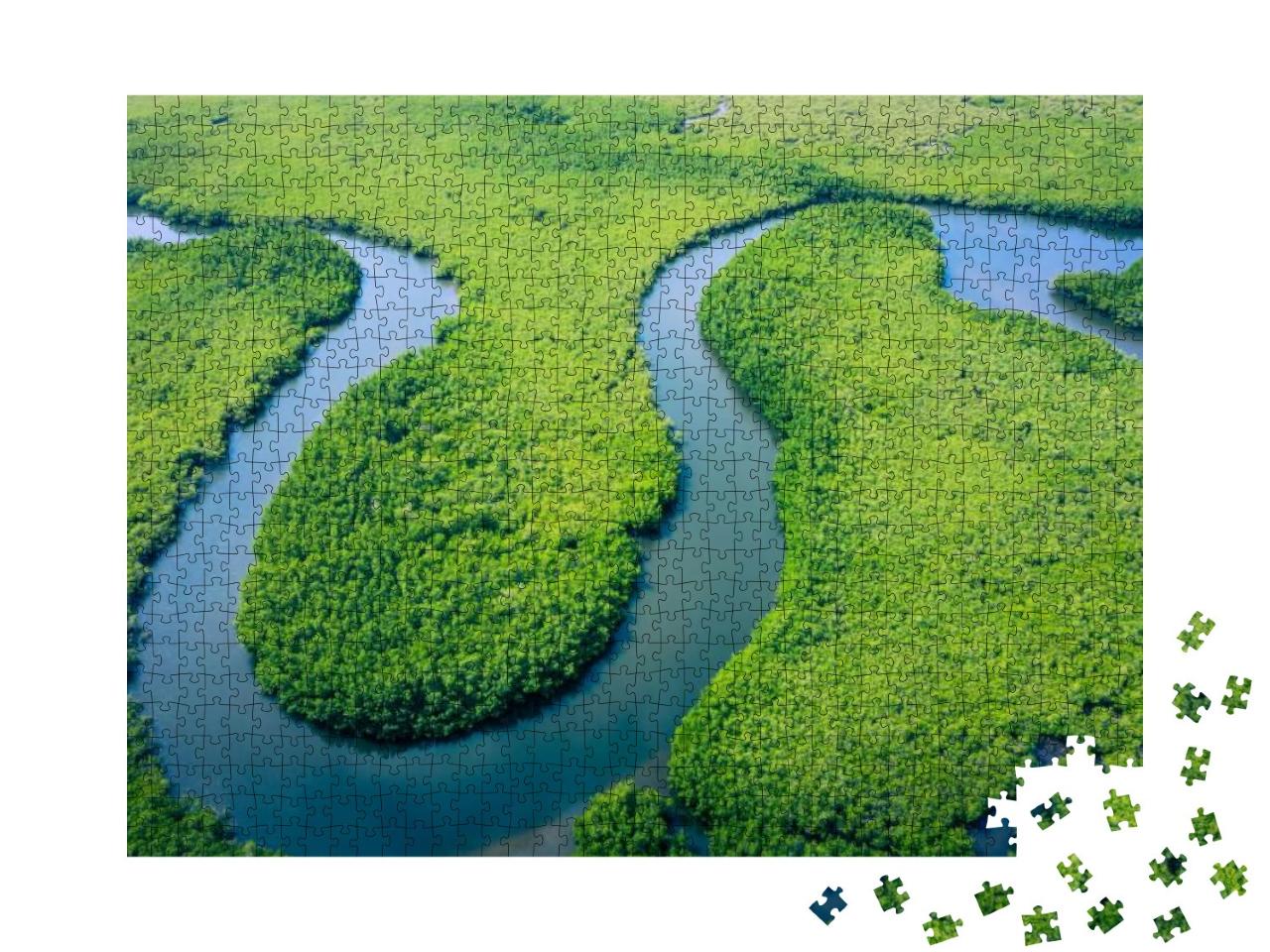 Aerial View of Amazon Rainforest in Brazil, South America... Jigsaw Puzzle with 1000 pieces