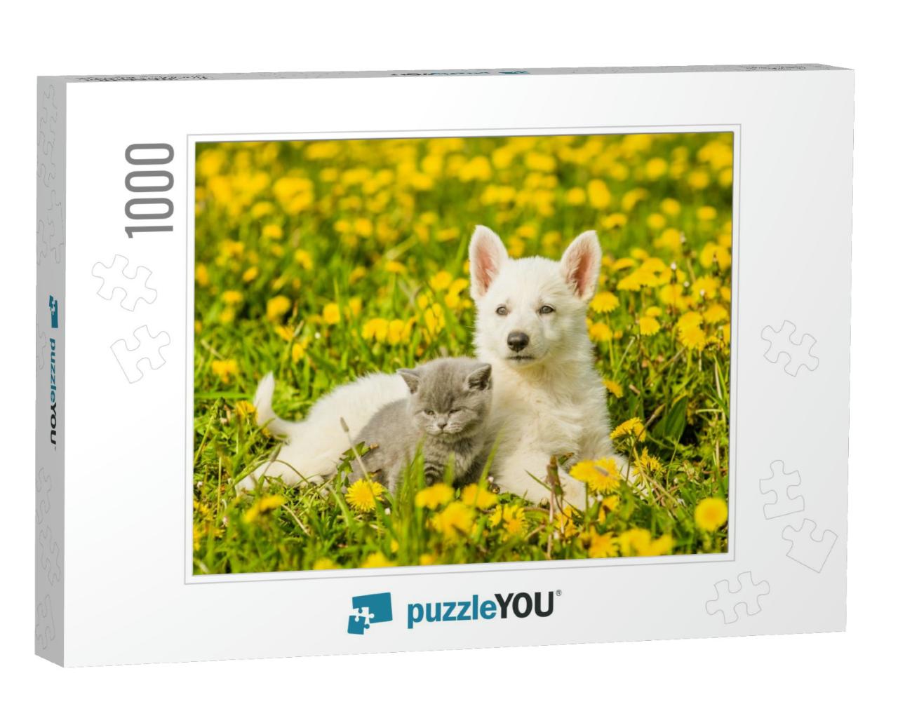 Puppy & Kitten Lying Together on a Dandelion Field... Jigsaw Puzzle with 1000 pieces