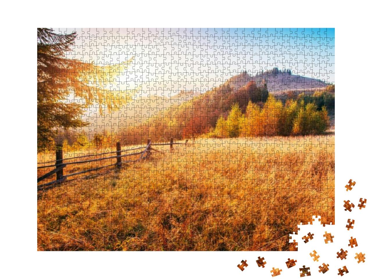 Birch Forest in Sunny Afternoon While Autumn Season. Autu... Jigsaw Puzzle with 1000 pieces