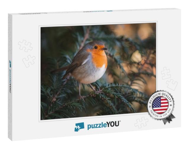 A Robin Sitting on a Green Branch... Jigsaw Puzzle