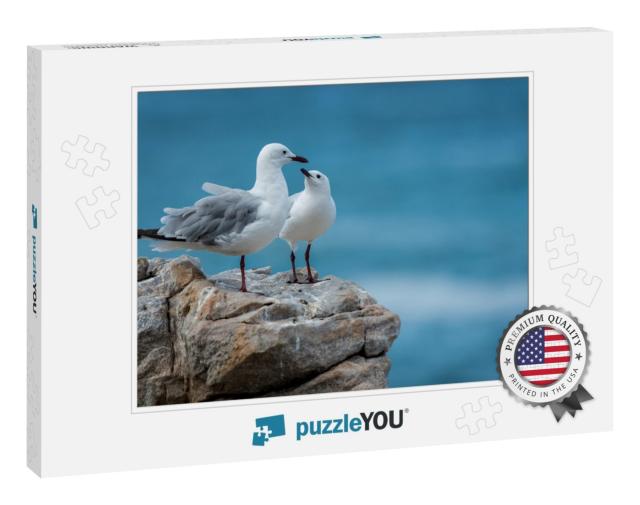 Seagulls At the Rocky Shore of the Indian Ocean in South... Jigsaw Puzzle