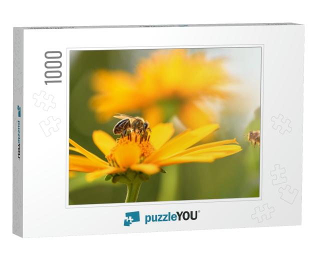 Bee & Flower. Close Up of a Large Striped Bee Collects Ho... Jigsaw Puzzle with 1000 pieces