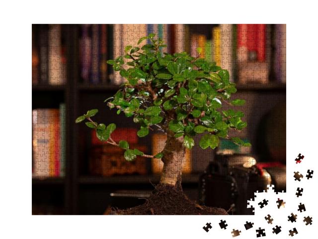 High Quality Photo, Bonsai Tree in the Study, Background... Jigsaw Puzzle with 1000 pieces