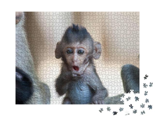 Cute Monkeys a Cute Monkey Lives in a Natural Forest of T... Jigsaw Puzzle with 1000 pieces