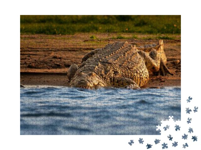 Nile Crocodile - Crocodylus Niloticus Large Crocodilian N... Jigsaw Puzzle with 1000 pieces