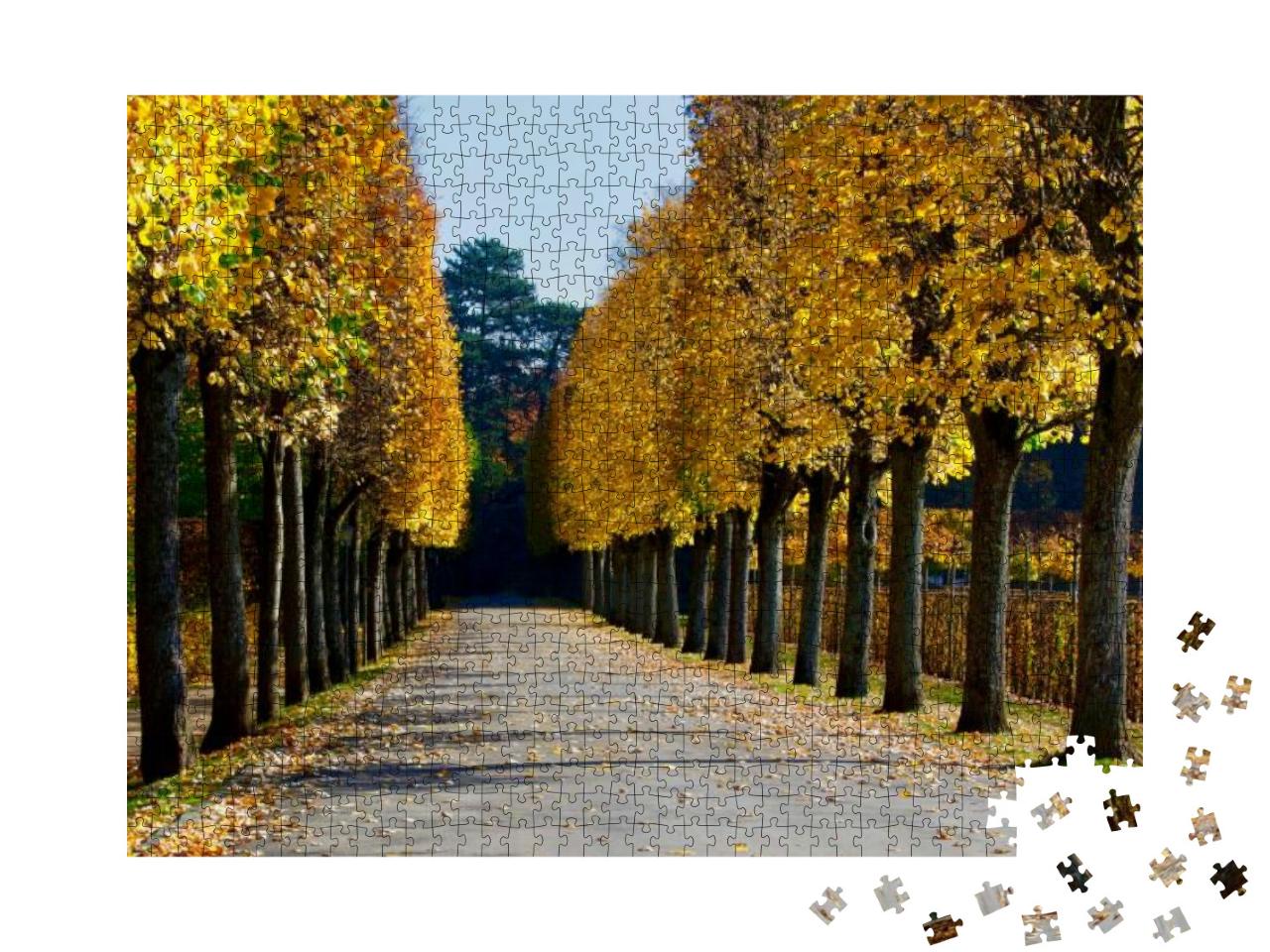 Autumn View of an Alley At Eremitage Bayreuth... Jigsaw Puzzle with 1000 pieces