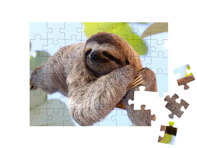 Happy Sloth Hanging on the Tree... Jigsaw Puzzle with 48 pieces