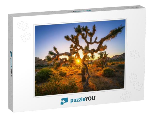 Sunset At Joshua Tree National Park, California in the Us... Jigsaw Puzzle