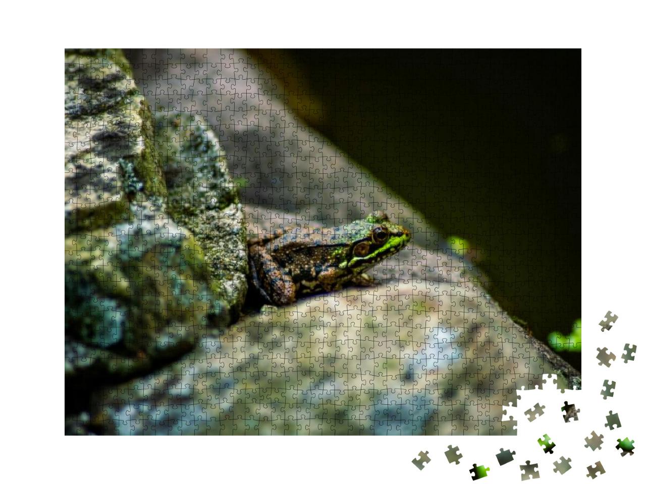 Frog On A Ledge Jigsaw Puzzle with 1000 pieces