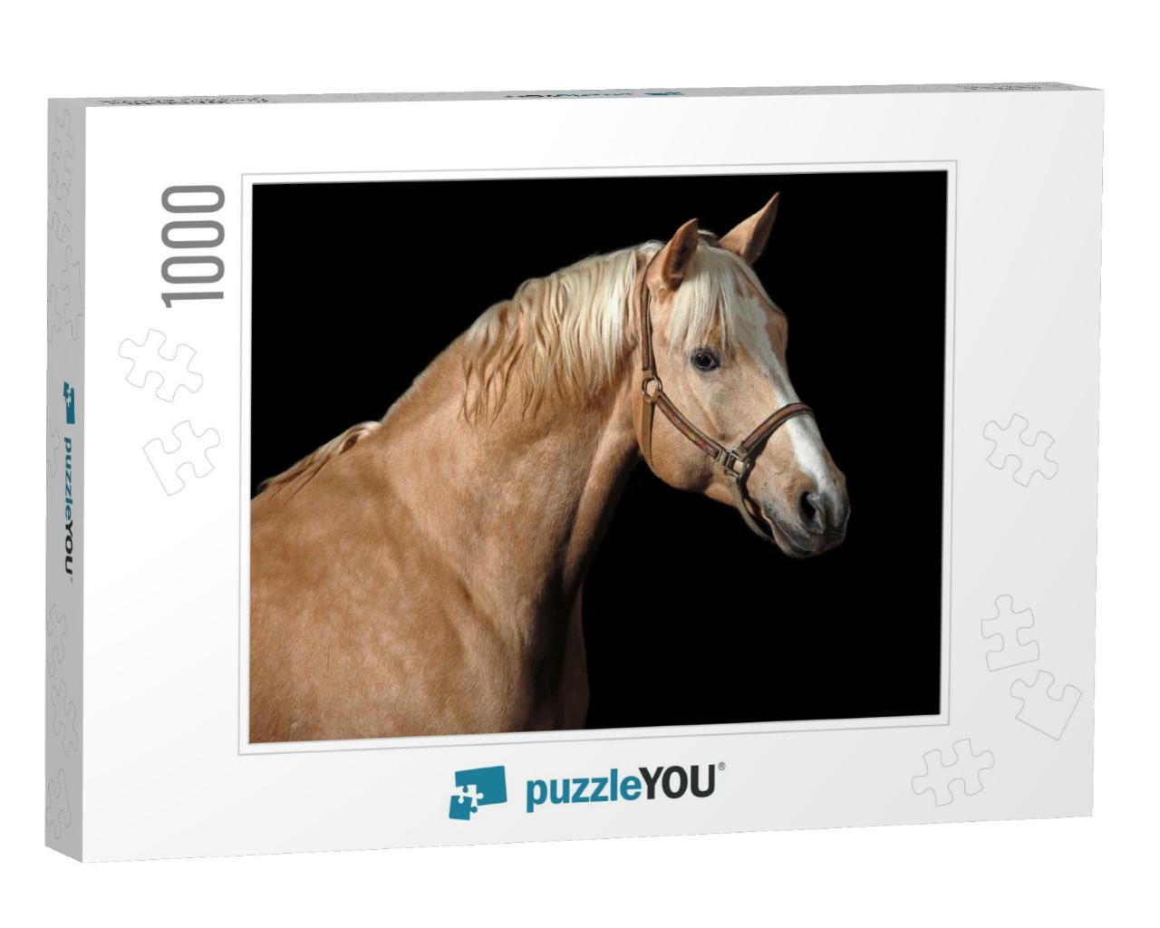 Palomino Horse... Jigsaw Puzzle with 1000 pieces