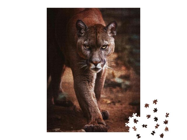 Cougar Felis Concolor American Puma Detail Portrait... Jigsaw Puzzle with 1000 pieces
