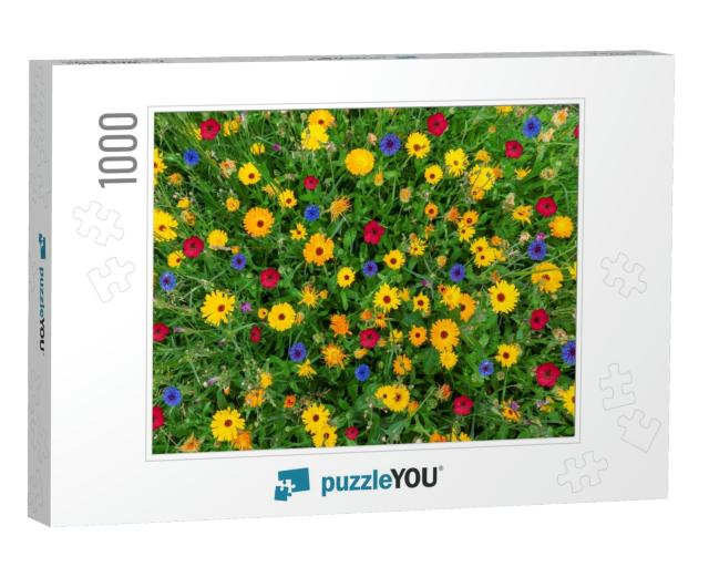 Colorful Flower Meadow in Summer with View from Above in... Jigsaw Puzzle with 1000 pieces
