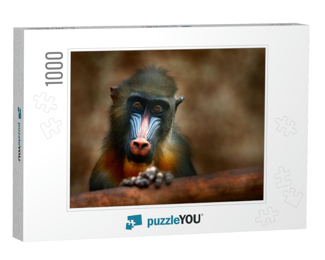 Mandrill, Mandrillus Sphinx, Sitting on Tree Branch in Da... Jigsaw Puzzle with 1000 pieces