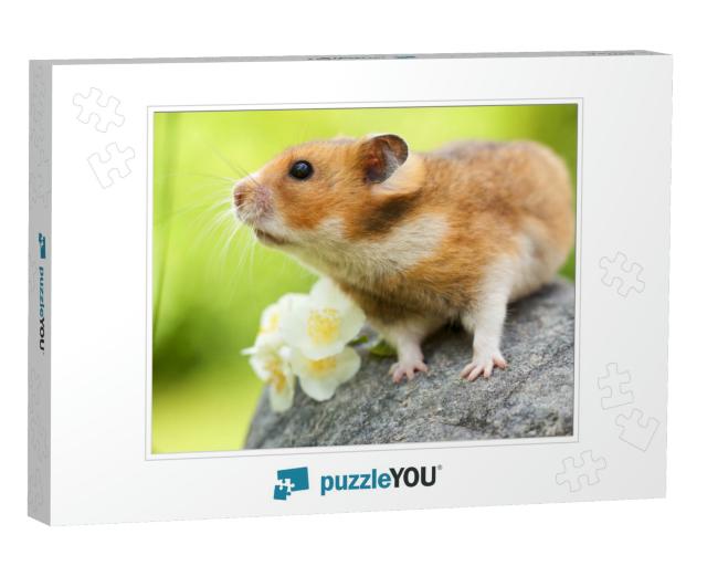 Cute Hamster Syrian Hamster on a Stone... Jigsaw Puzzle