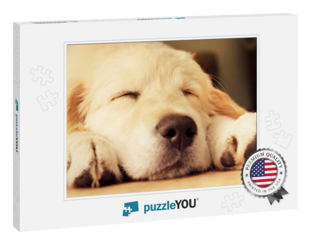 Cute Golden Retriever Puppy Taking a Nap... Jigsaw Puzzle