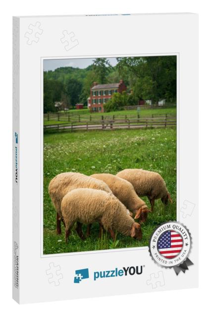 The Historic Hale Farm Village in Ohio's Only National Pa... Jigsaw Puzzle