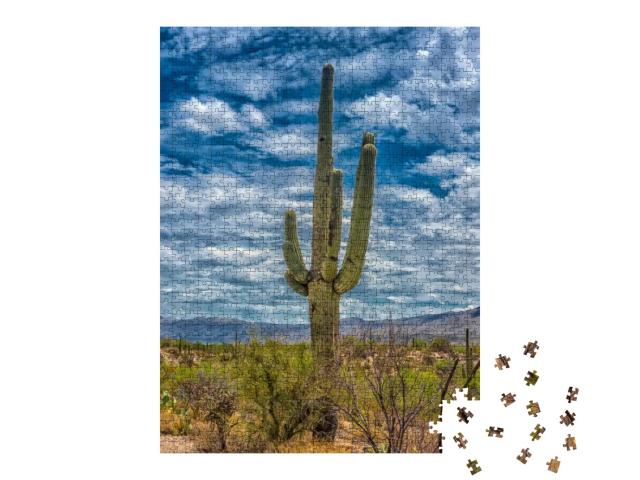 Big Saguaros in Saguaro National Park, Arizona... Jigsaw Puzzle with 1000 pieces