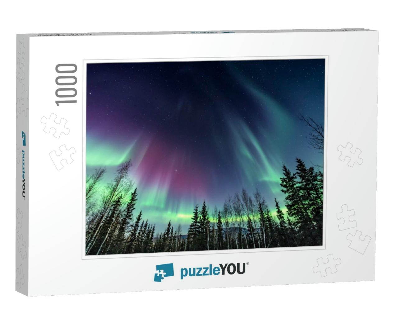 Purple & Green Northern Lights Swirling Over Pine Trees... Jigsaw Puzzle with 1000 pieces