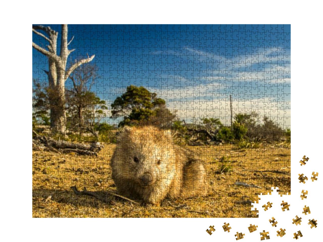 Maria Island, Tasmania, Australia- March 2019 Wombat Vomb... Jigsaw Puzzle with 1000 pieces