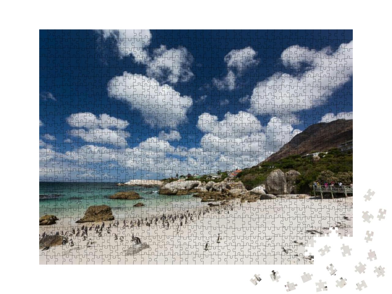Penguins Walk on the Beach. Boulders Beach, Cape Town, So... Jigsaw Puzzle with 1000 pieces
