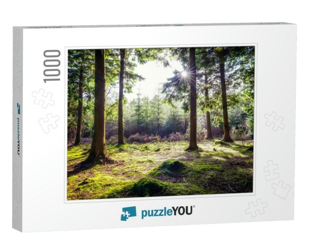 Woodland in Ladock Cornwall England Ku... Jigsaw Puzzle with 1000 pieces