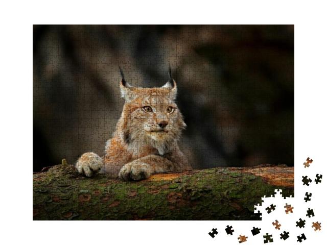 Lynx in Green Forest with Tree Trunk. Wildlife Scene from... Jigsaw Puzzle with 1000 pieces