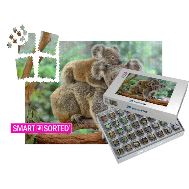 Mother Koala with Baby on Her Back, on Eucalyptus Tree... | SMART SORTED® | Jigsaw Puzzle with 1000 pieces