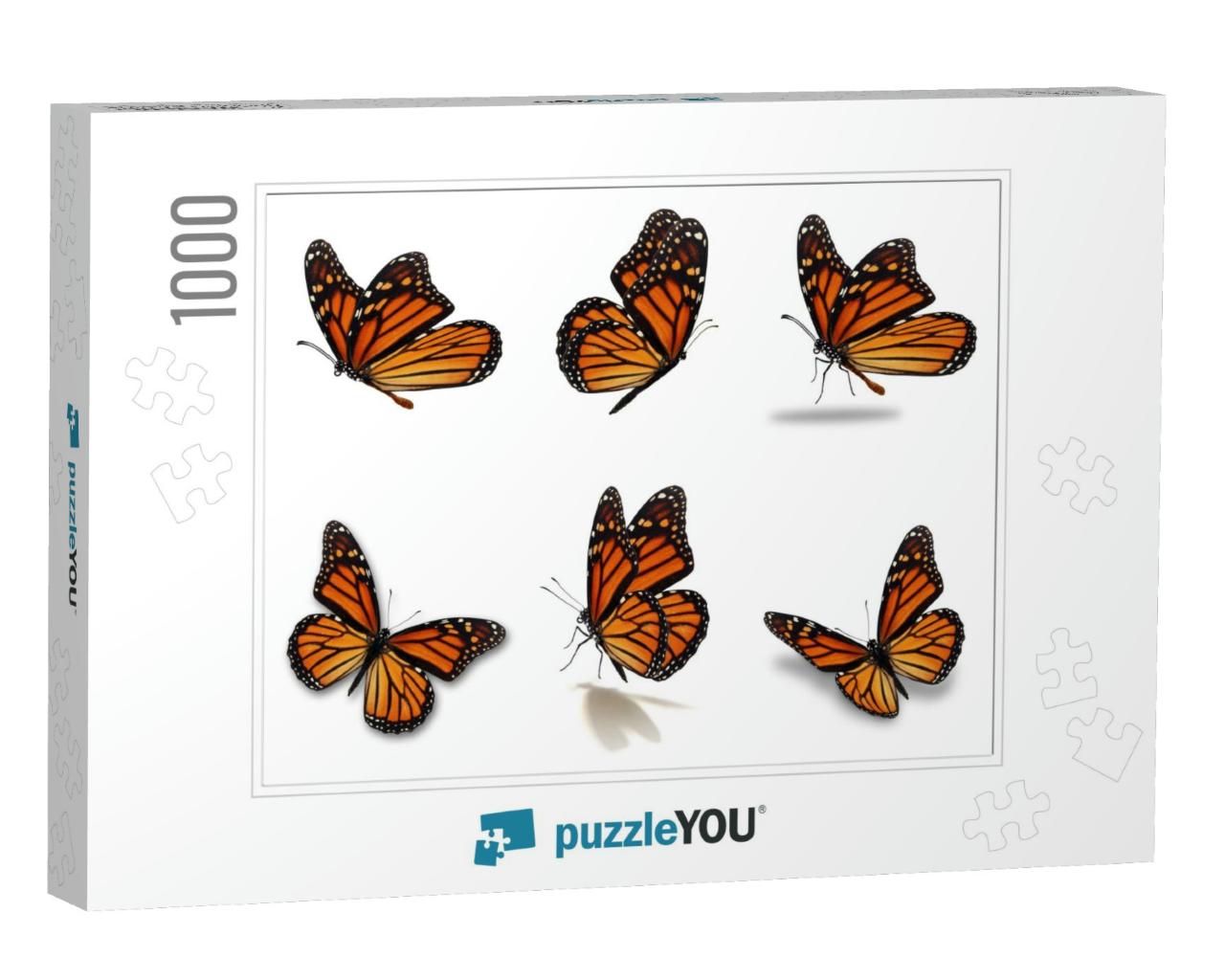 Beautiful Six Monarch Butterflies Set, Isolated on White... Jigsaw Puzzle with 1000 pieces