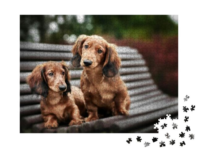 Two Adorable Dachshund Puppies Posing Together on a Bench... Jigsaw Puzzle with 1000 pieces