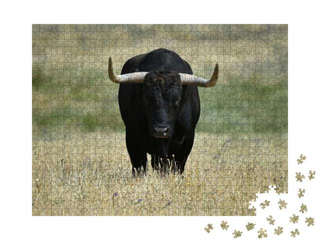 A Black Bull with Big Horns on the Field... Jigsaw Puzzle with 1000 pieces