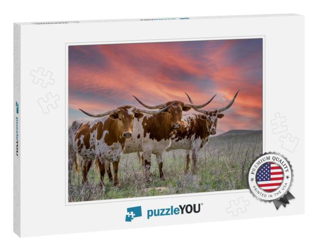 Texas Longhorn Cattle At Sunset in a Pasture in the Oklah... Jigsaw Puzzle