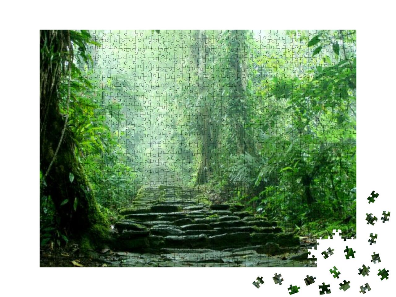 Hidden Staircase Deep in the Colombian Jungle Belonging t... Jigsaw Puzzle with 1000 pieces