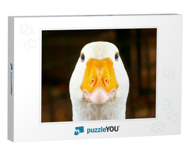 Portrait of a White Geese with an Orange Beak. Breeding P... Jigsaw Puzzle