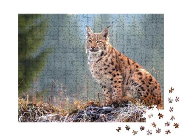 The Eurasian Lynx Lynx Lynx is a Precious Beast of the Sl... Jigsaw Puzzle with 1000 pieces