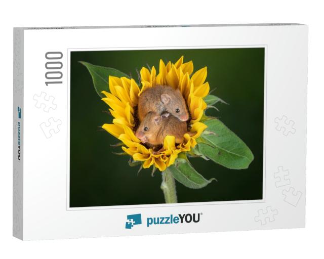 Harvest Mice Cuteness Mouse Sweet Flower... Jigsaw Puzzle with 1000 pieces