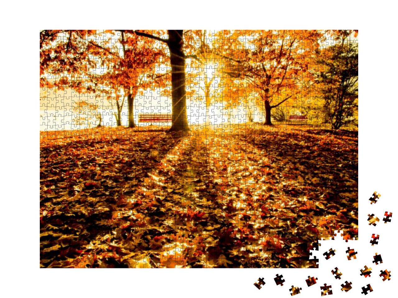 Autumn Trees & Bench on the Waterfront with Sunlight in A... Jigsaw Puzzle with 1000 pieces