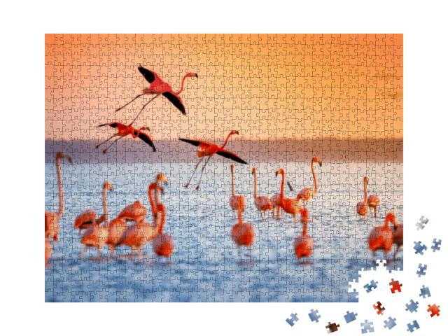 Pink Flamingos in Sun... Jigsaw Puzzle with 1000 pieces