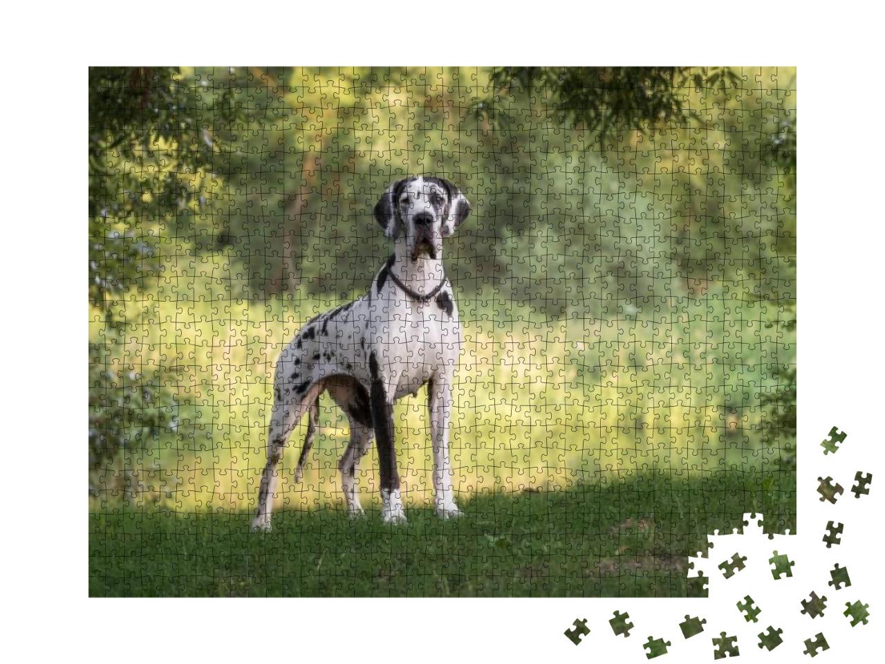 Great Dane in Beautiful Landscapes... Jigsaw Puzzle with 1000 pieces