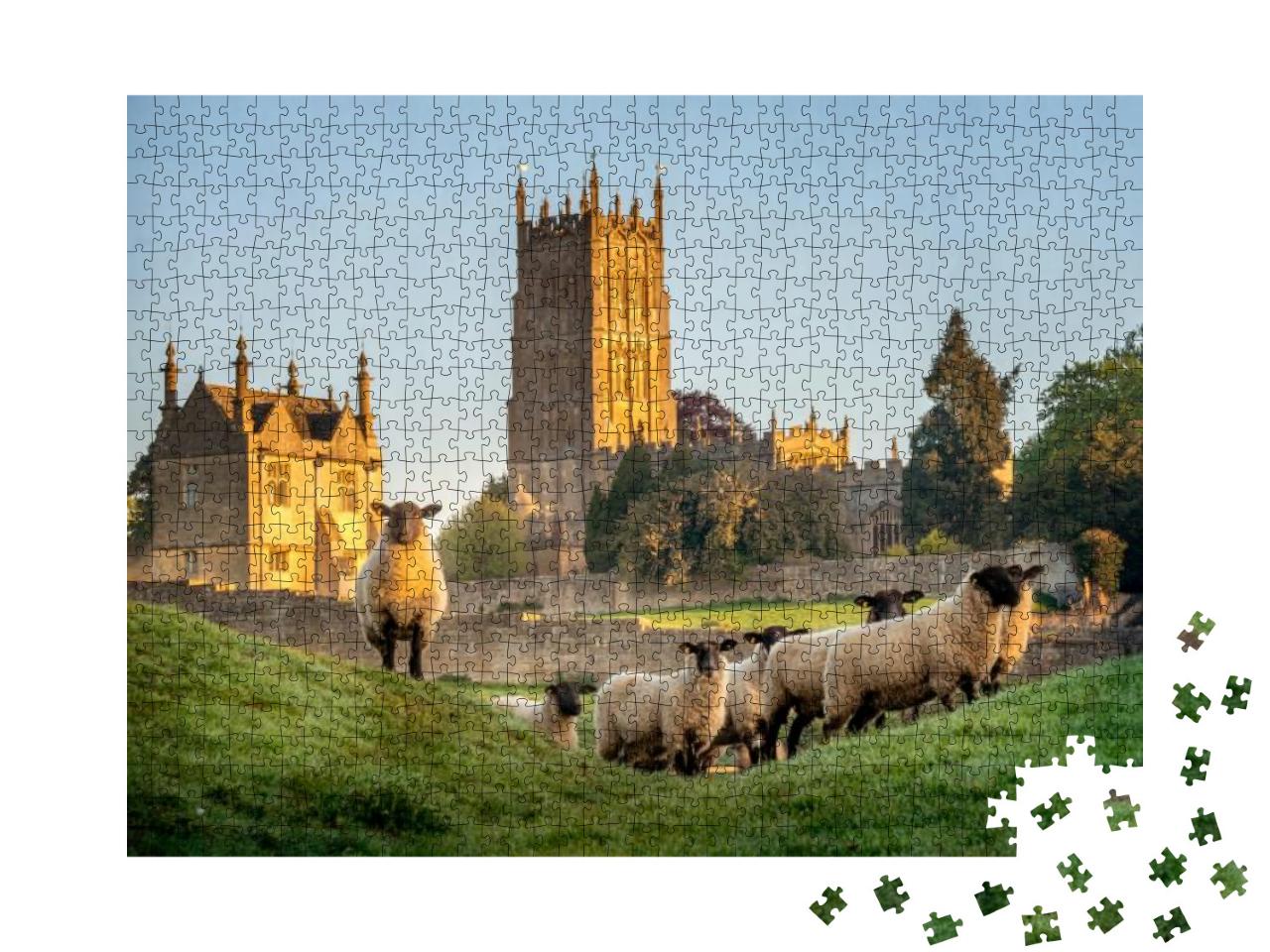 Cotswold Sheep Near Chipping Campden in Gloucestershire w... Jigsaw Puzzle with 1000 pieces