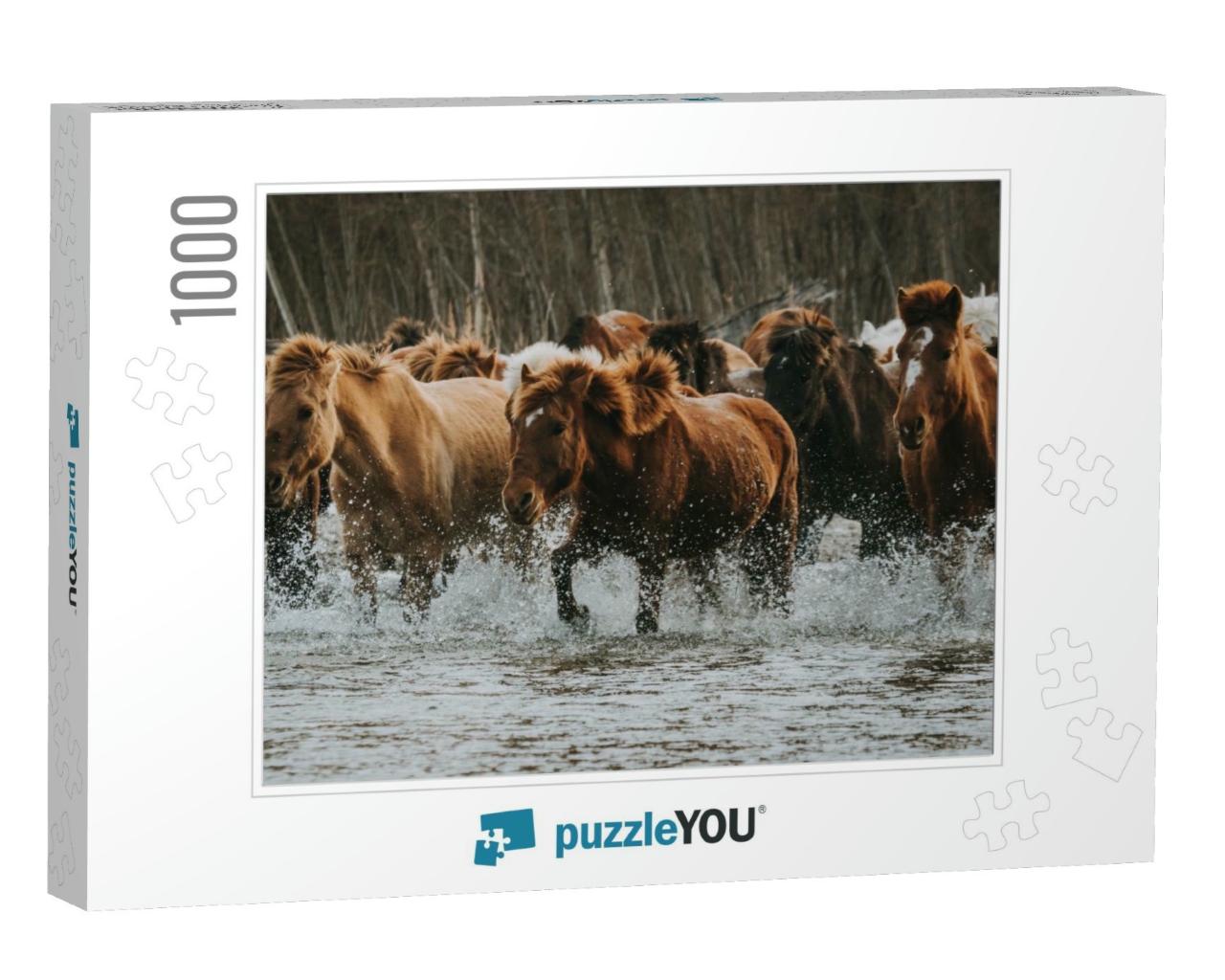 Large Group of Shaggy Brown & White Horses in Arboreal Wo... Jigsaw Puzzle with 1000 pieces