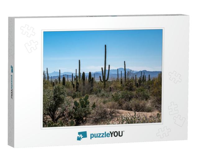 A Long Slender Saguaro Cactus in Saguaro National Park, A... Jigsaw Puzzle