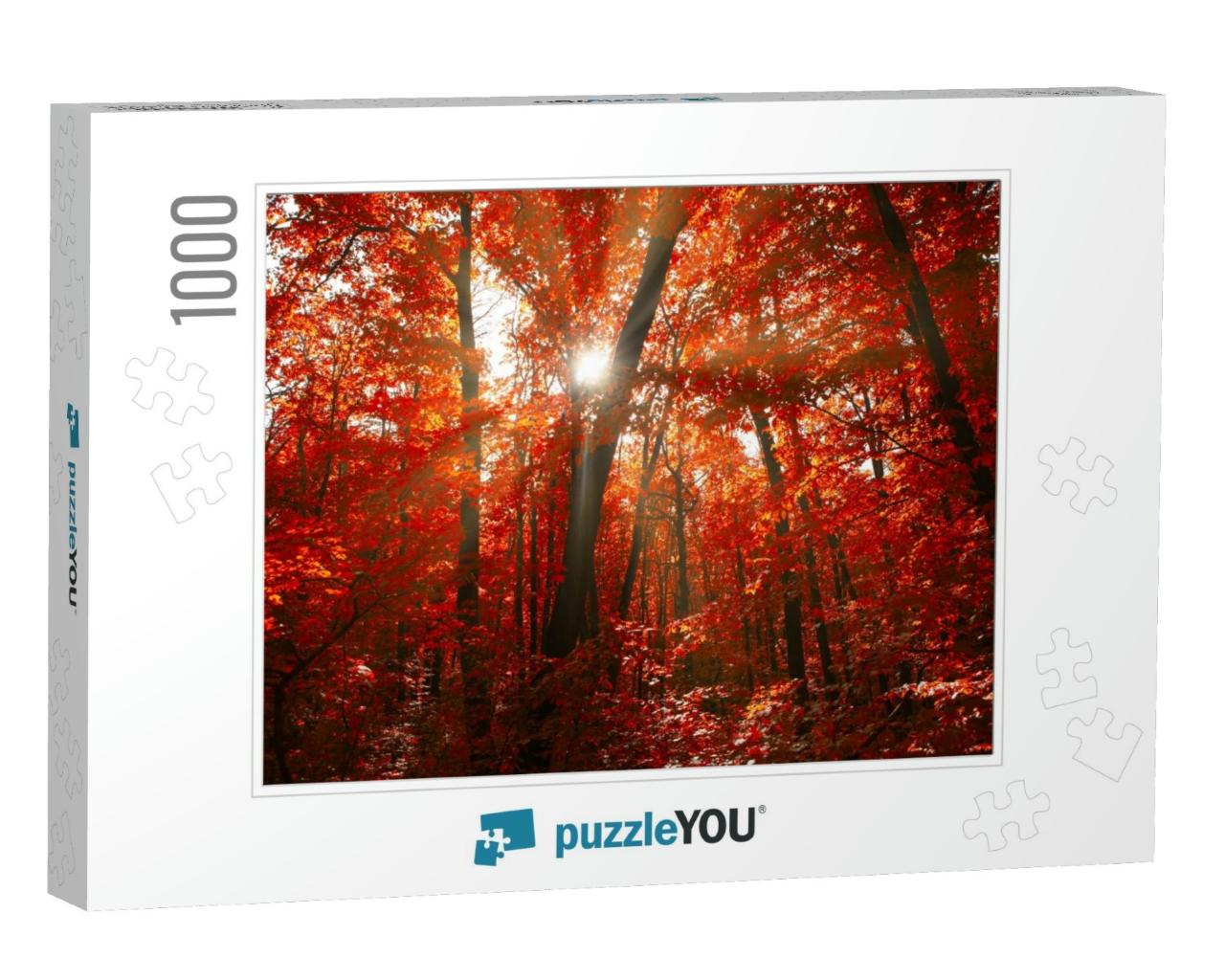 Red Autumn Forest with Sunlight. Spectacular Woodland in... Jigsaw Puzzle with 1000 pieces
