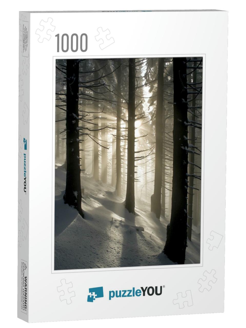 Rays in Winter Forest... Jigsaw Puzzle with 1000 pieces