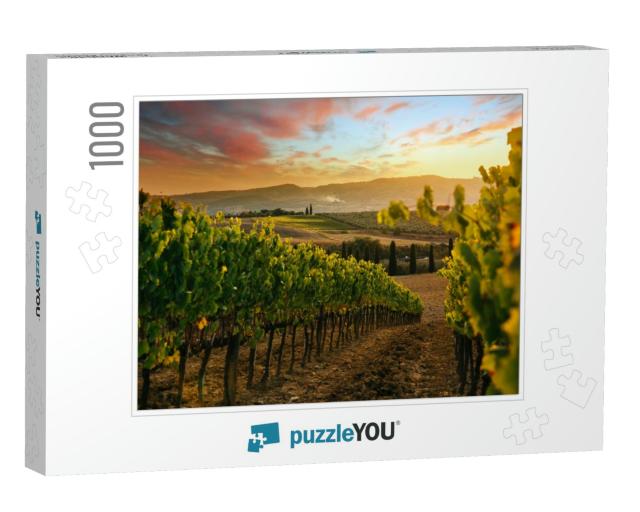 Beautiful Sunset Over Vineyards... Jigsaw Puzzle with 1000 pieces