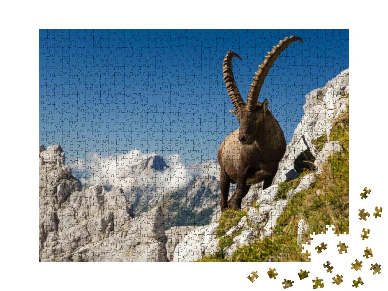 King of the Mountains - Alpine Ibex Capra Ibex. Slovenian... Jigsaw Puzzle with 1000 pieces