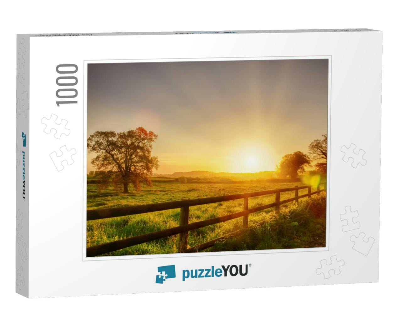 Glorious Sunrise Over Grassy Rural Landscape in Norfolk U... Jigsaw Puzzle with 1000 pieces