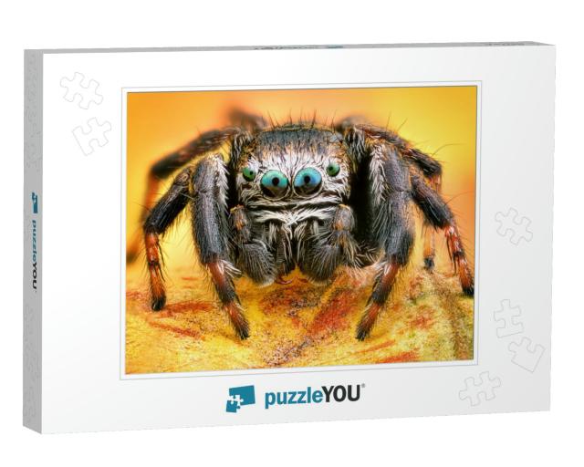 Extreme Sharp & Detailed Portrait of Polish Jumping Spide... Jigsaw Puzzle