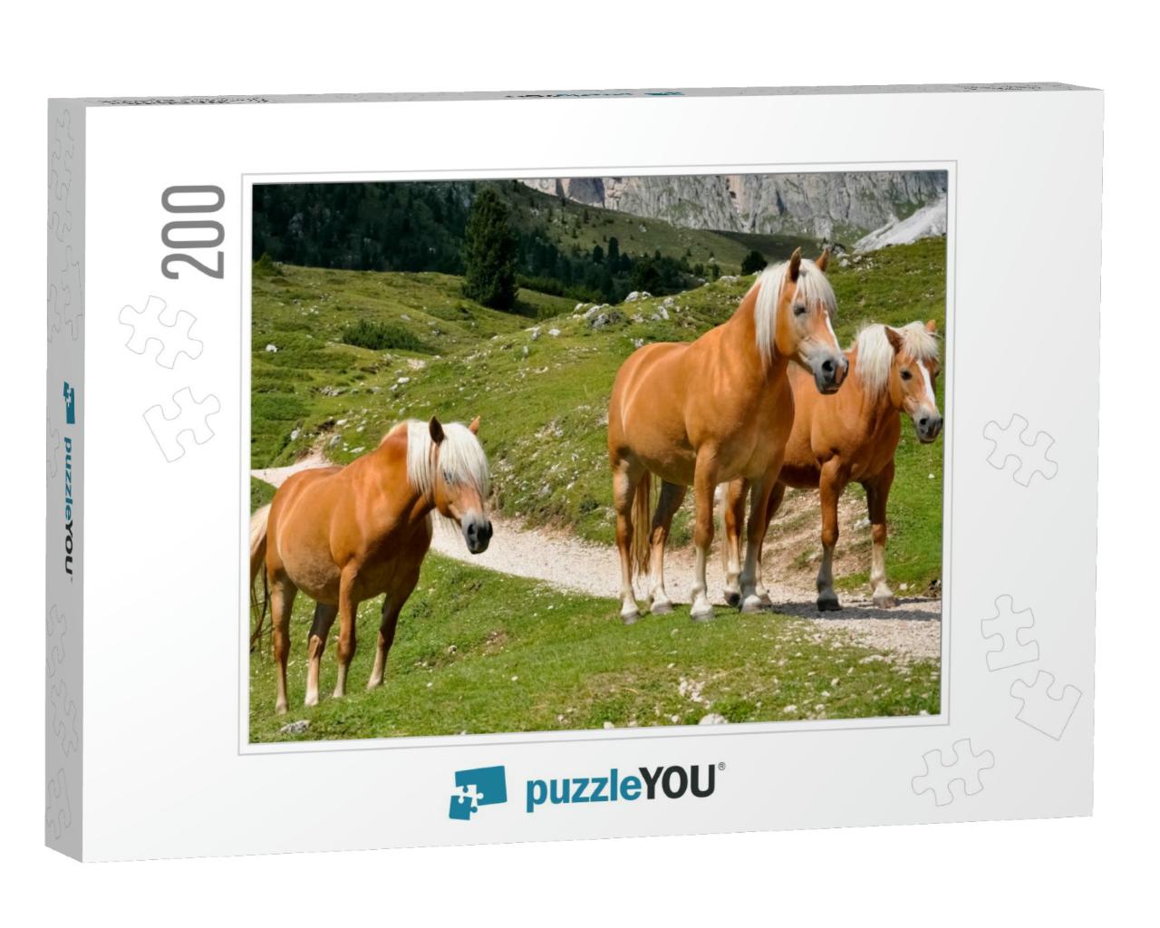 Haflinger Horses in a Group of Three with White Manes on... Jigsaw Puzzle with 200 pieces