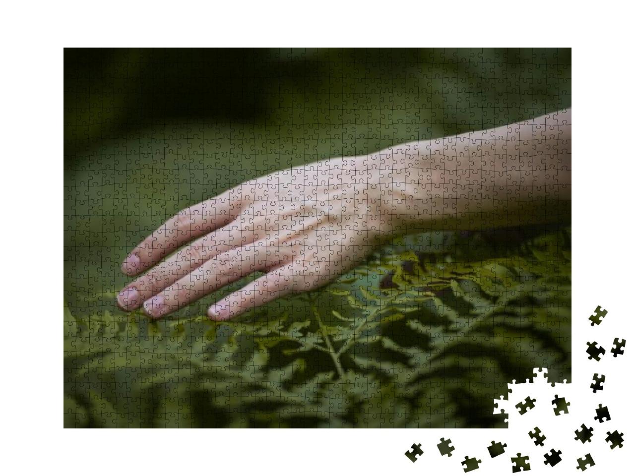 A Thin Female Hand Touches the Carved Fern Leaves... Jigsaw Puzzle with 1000 pieces