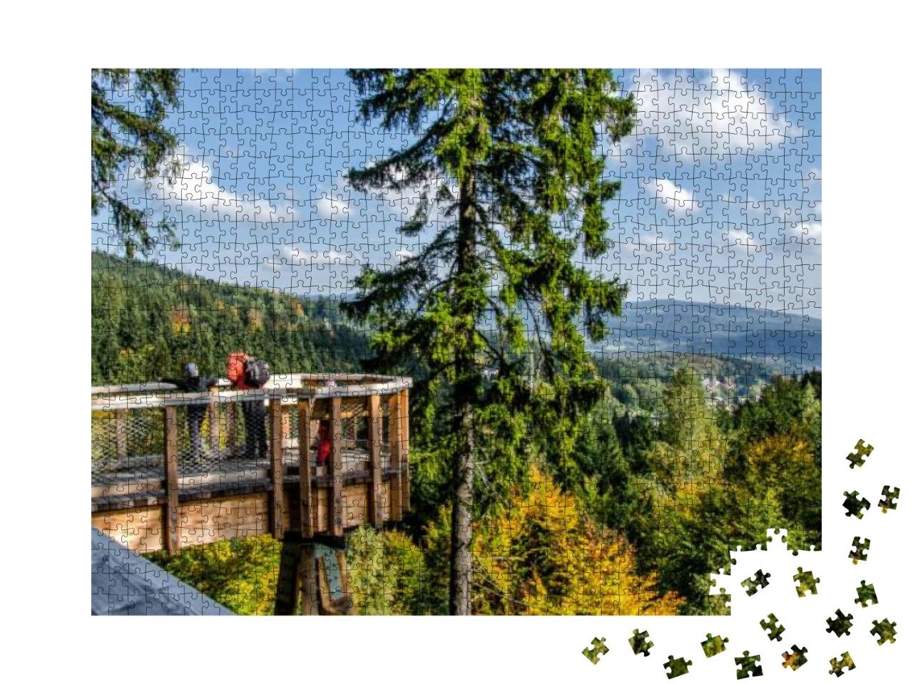 The Path in the Tree Crowns... Jigsaw Puzzle with 1000 pieces
